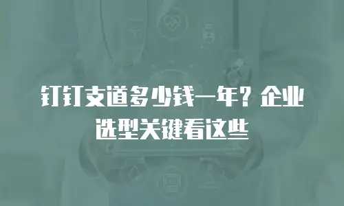 钉钉支道多少钱一年？企业选型关键看这些