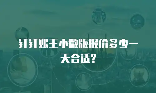钉钉账王小微版报价多少一天合适？