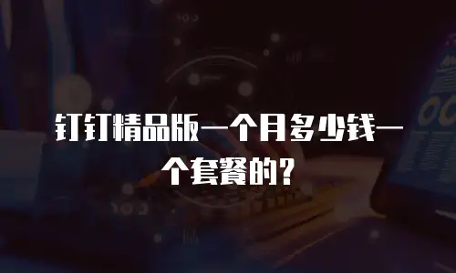 钉钉精品版一个月多少钱一个套餐的？