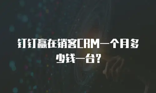 钉钉赢在销客CRM一个月多少钱一台？