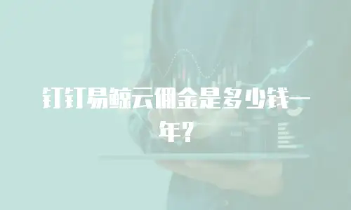 钉钉易鲸云佣金是多少钱一年？
