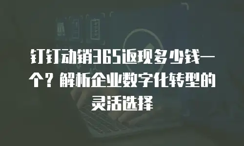钉钉动销365返现多少钱一个？解析企业数字化转型的灵活选择