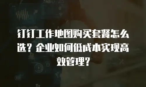 钉钉工作地图购买套餐怎么选？企业如何低成本实现高效管理？