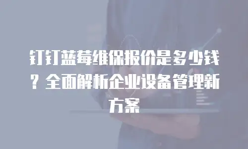 钉钉蓝莓维保报价是多少钱？全面解析企业设备管理新方案
