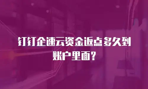 钉钉企速云资金返点多久到账户里面？