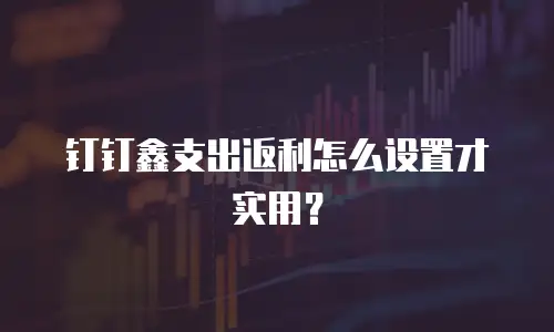 钉钉鑫支出返利怎么设置才实用？
