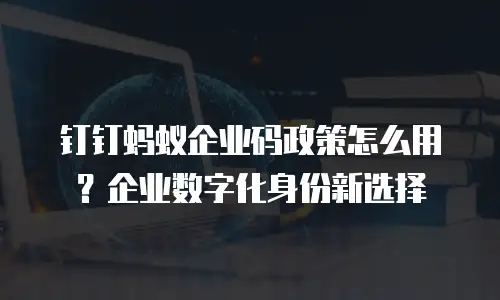 钉钉蚂蚁企业码政策怎么用？企业数字化身份新选择