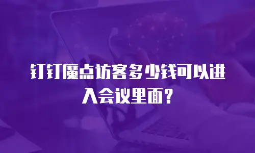 钉钉魔点访客多少钱可以进入会议里面？