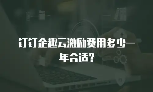 钉钉企趣云激励费用多少一年合适？