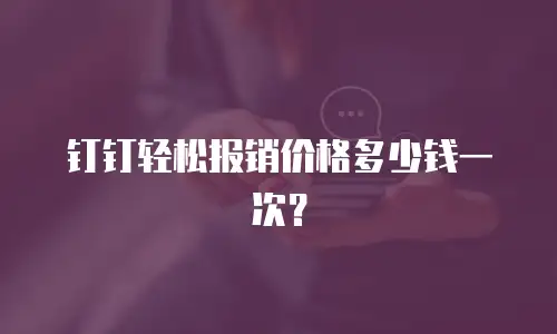 钉钉轻松报销价格多少钱一次？