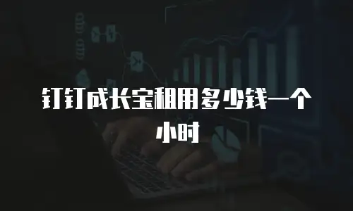 钉钉成长宝租用多少钱一个小时