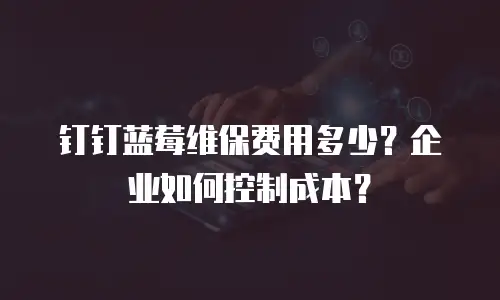 钉钉蓝莓维保费用多少？企业如何控制成本？