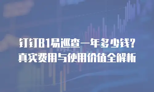 钉钉B1易巡查一年多少钱？真实费用与使用价值全解析