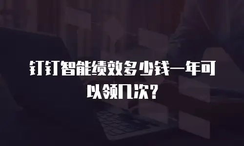 钉钉智能绩效多少钱一年可以领几次？