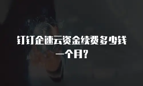 钉钉企速云资金续费多少钱一个月？