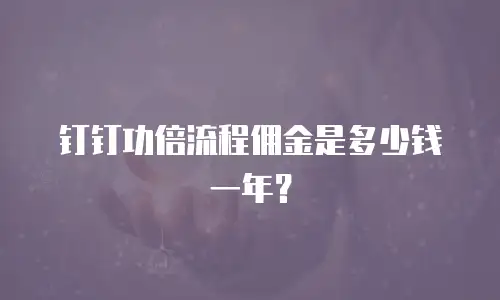 钉钉功倍流程佣金是多少钱一年？