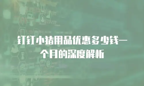 钉钉小猪用品优惠多少钱一个月的深度解析