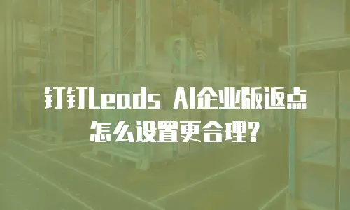 钉钉Leads AI企业版返点怎么设置更合理？