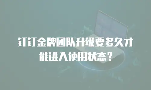 钉钉金牌团队升级要多久才能进入使用状态？