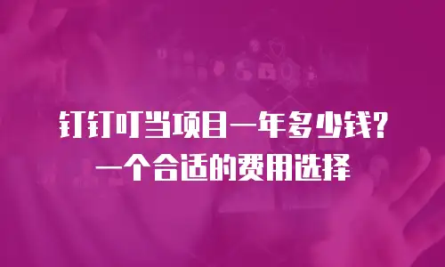 钉钉叮当项目一年多少钱？一个合适的费用选择