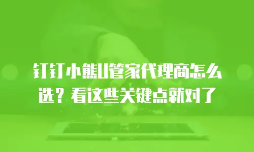 钉钉小熊U管家代理商怎么选？看这些关键点就对了