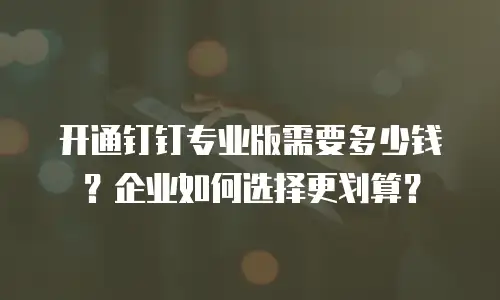 开通钉钉专业版需要多少钱？企业如何选择更划算？