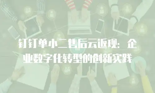 钉钉单小二售后云返现：企业数字化转型的创新实践