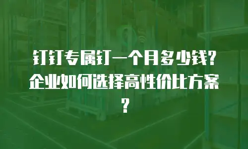 钉钉专属钉一个月多少钱？企业如何选择高性价比方案？