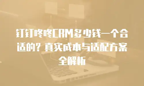 钉钉咚咚CRM多少钱一个合适的？真实成本与适配方案全解析