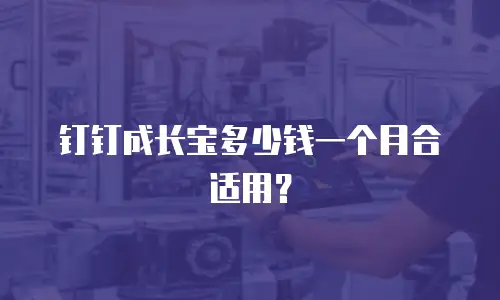 钉钉成长宝多少钱一个月合适用？