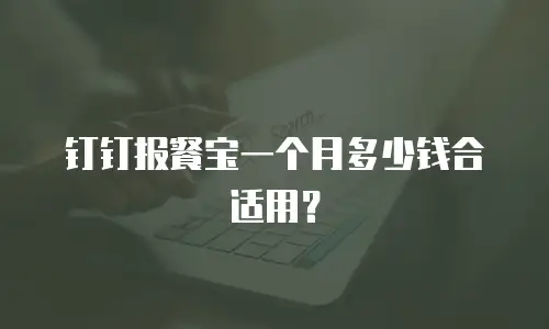 钉钉报餐宝一个月多少钱合适用？