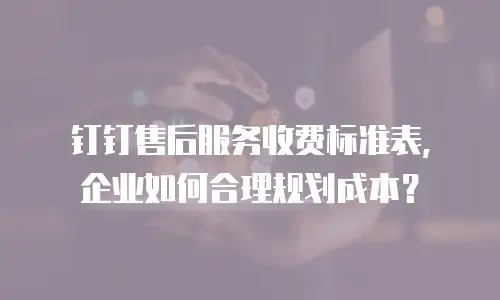 钉钉售后服务收费标准表，企业如何合理规划成本？