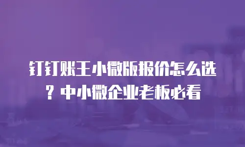 钉钉账王小微版报价怎么选？中小微企业老板必看