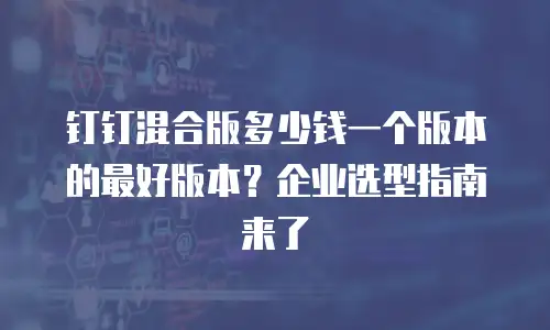 钉钉混合版多少钱一个版本的最好版本？企业选型指南来了