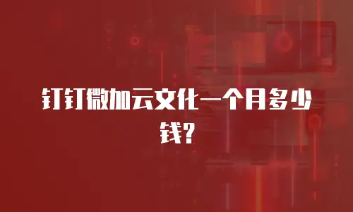 钉钉微加云文化一个月多少钱？