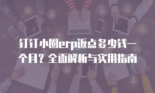 钉钉小圈erp返点多少钱一个月？全面解析与实用指南