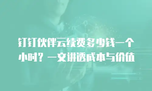 钉钉伙伴云续费多少钱一个小时？一文讲透成本与价值