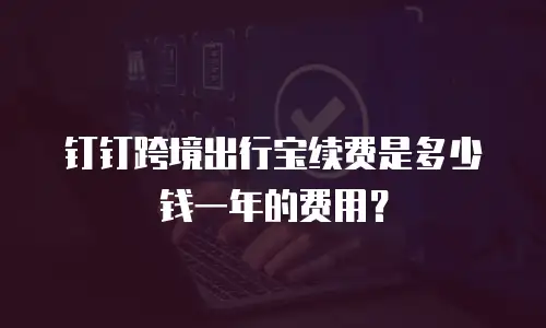 钉钉跨境出行宝续费是多少钱一年的费用？
