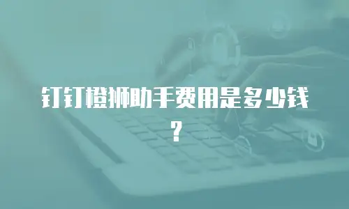 钉钉橙狮助手费用是多少钱？