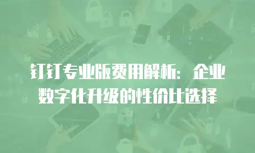 钉钉专业版费用解析：企业数字化升级的性价比选择