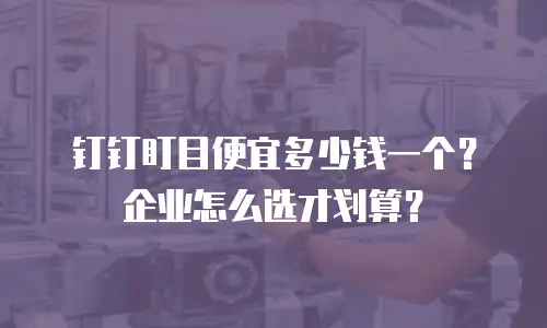 钉钉盯目便宜多少钱一个？企业怎么选才划算？