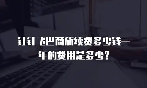 钉钉飞巴商旅续费多少钱一年的费用是多少？