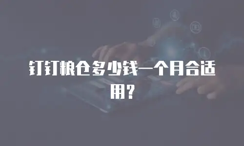 钉钉粮仓多少钱一个月合适用？