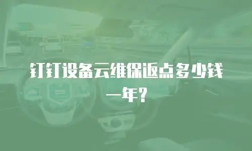 钉钉设备云维保返点多少钱一年？