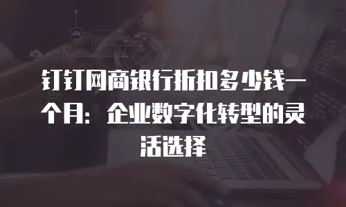 钉钉网商银行折扣多少钱一个月：企业数字化转型的灵活选择