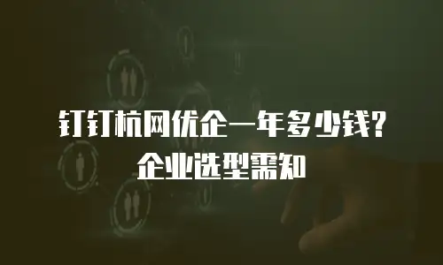 钉钉杭网优企一年多少钱？企业选型需知