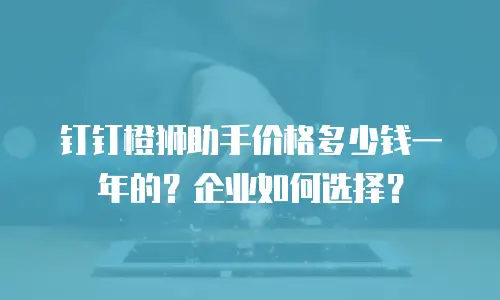钉钉橙狮助手价格多少钱一年的？企业如何选择？