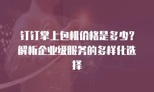 钉钉掌上包机价格是多少？解析企业级服务的多样化选择