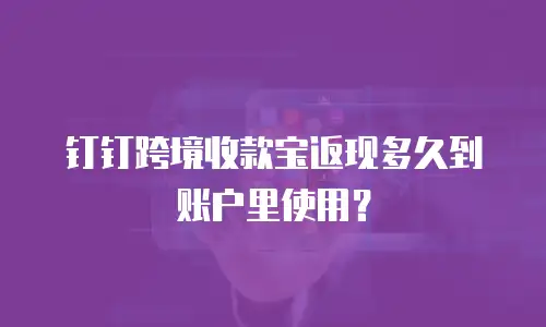 钉钉跨境收款宝返现多久到账户里使用？