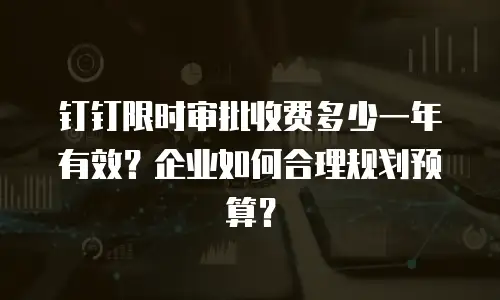 钉钉限时审批收费多少一年有效？企业如何合理规划预算？
